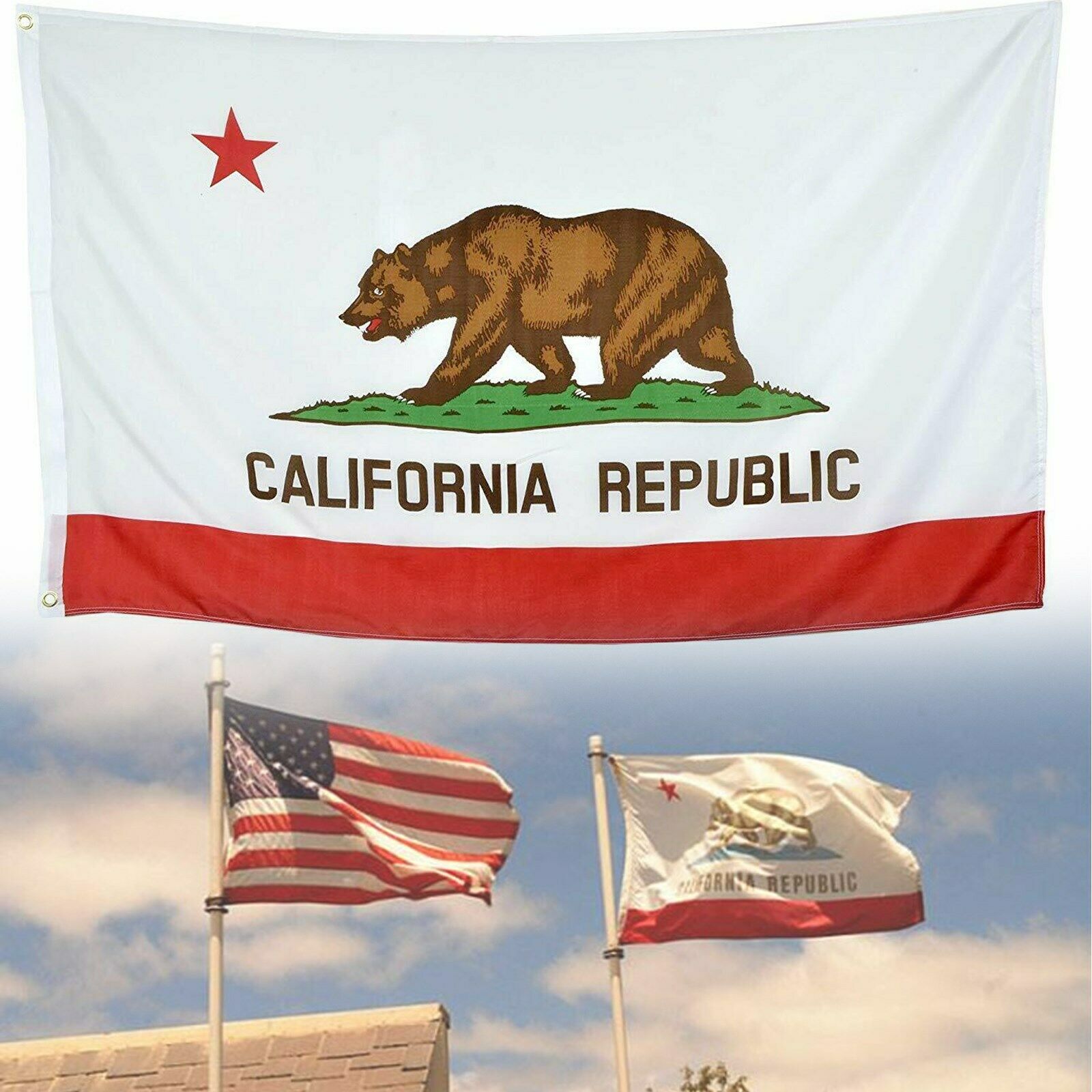 State of California Republic BIG Flag 3x5FT Polyester Indoor Outdoor US