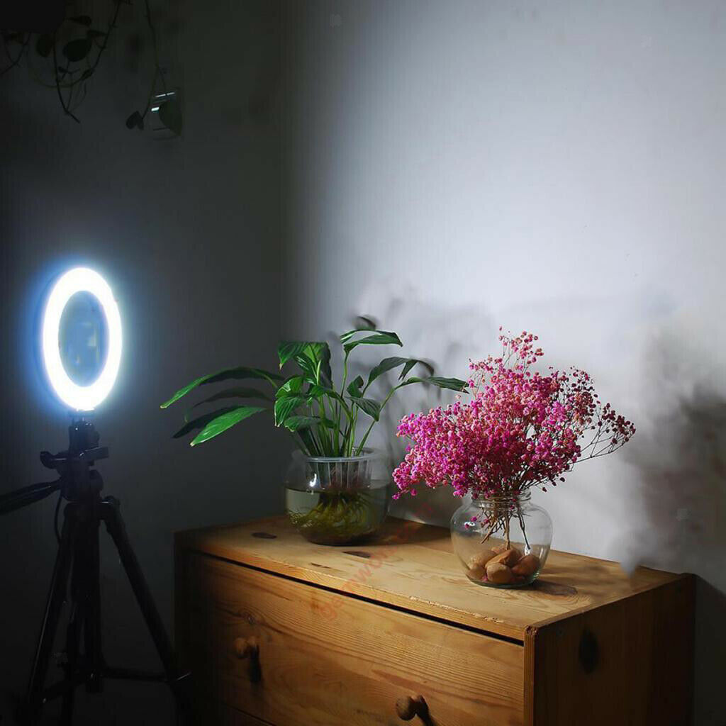 8" Selfie Ring Light for Live Stream/Makeup Desktop Led Camera Ringlight Lamp