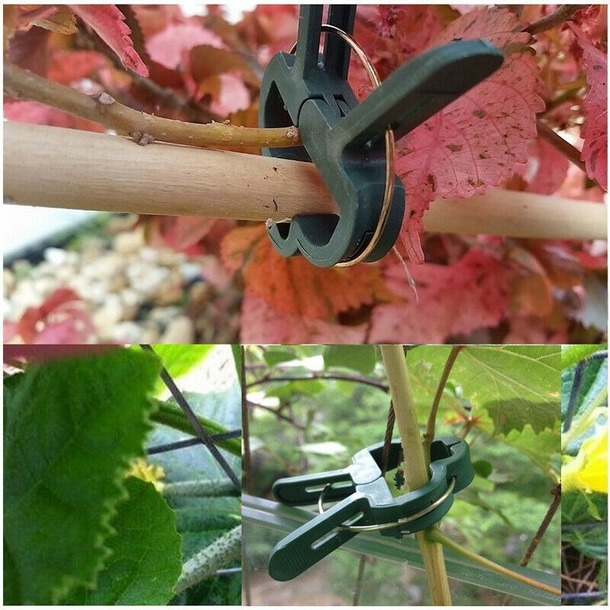 20pcs x Garden Plant Support Spring Clips Set for Vines Flower Gardening Stems C