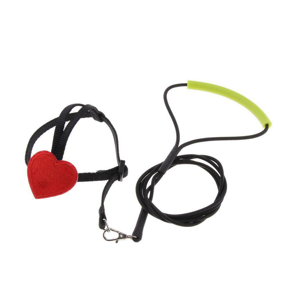 3x Bird Leash Outdoor Adjustable Training Rope for