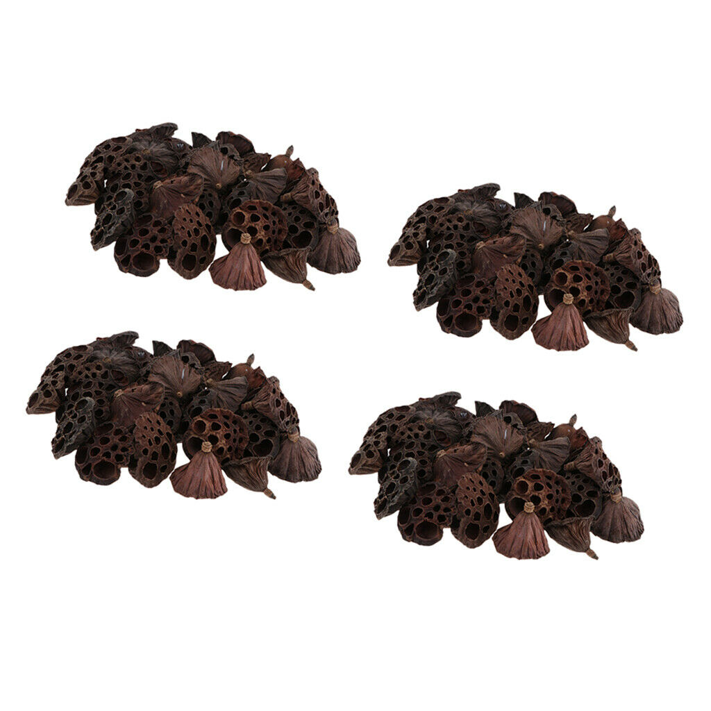 120x Vivid Natural Real Lotus Pod For DIY Art Crafts Xmas Floral Garland