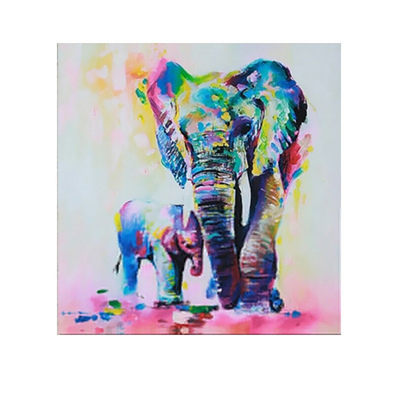 50x50cm Canvas Decorative Wall Art Painting Picture Elephant Print No Framed