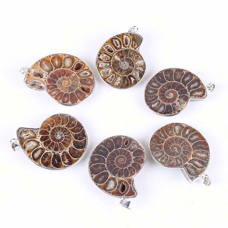 Natural Ammonite Fossils Pendant Necklace Fossils Stone Pendant Fashion Jewelry