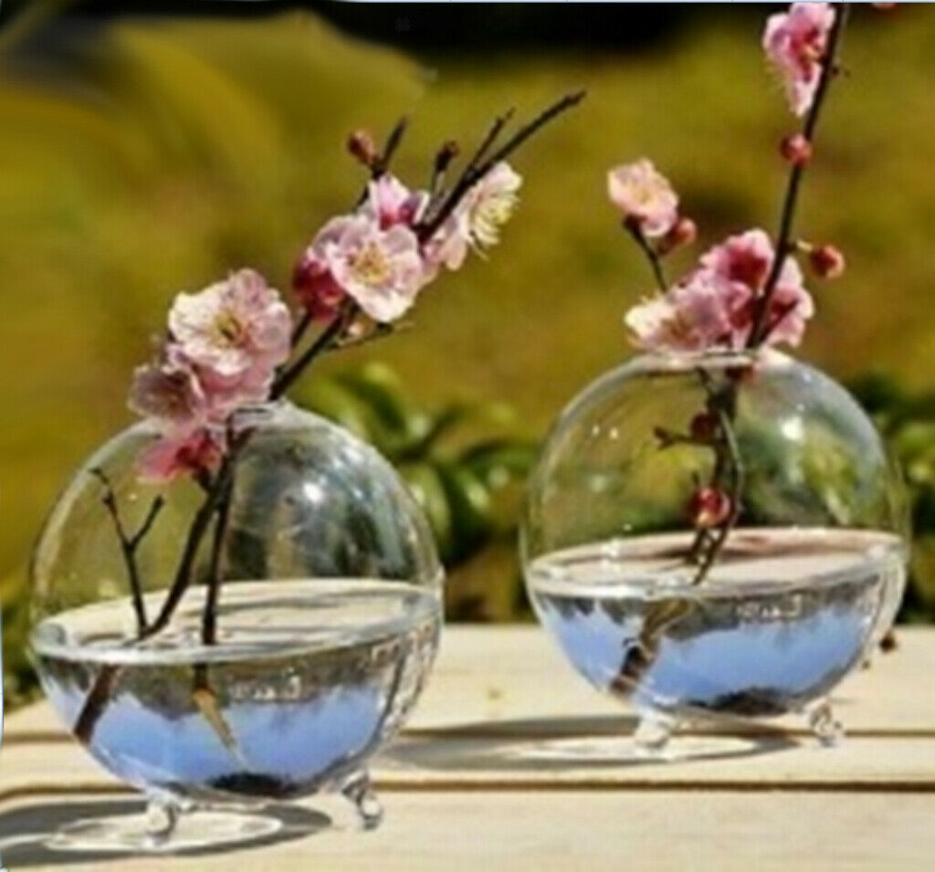 2 Pieces 8cm Ball Clear Glass Flowers Vase Bottle Micro Landscape Fairy Garden
