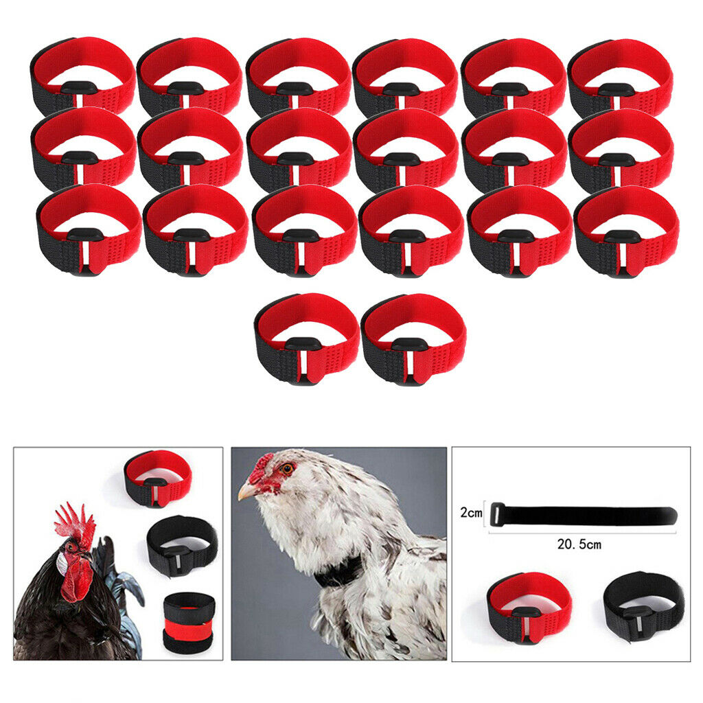 20 Pieces Rooster Collar Prevent Chicken from Screaming for Poultry Rooster