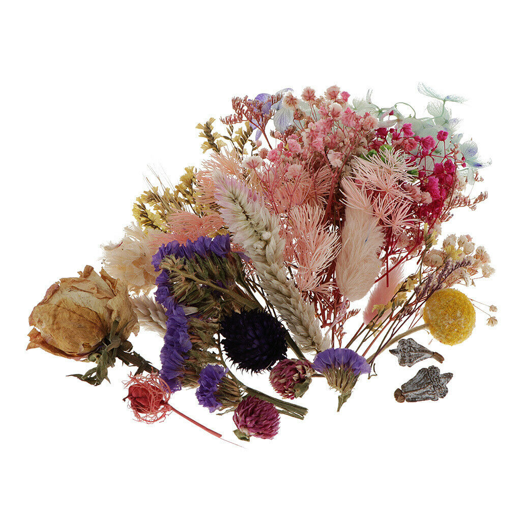 Dried Flowers Rose Decoration For Candle Making Scrapbooking Home Decor
