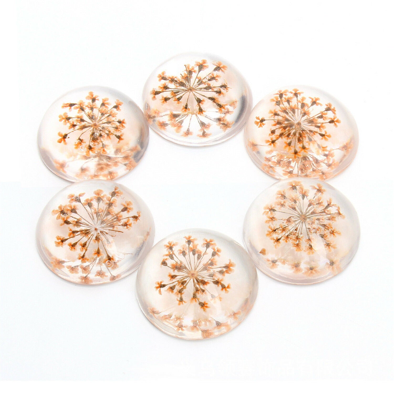 5 pcs Round Glass Cabochon Dried Flower Time Gem DIY Art Craft For Jewelry 25mm