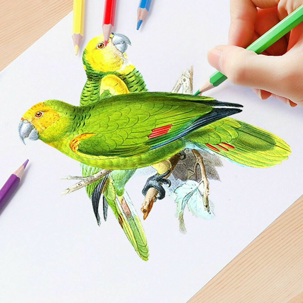 160Color Oil Art Pencils Drawing Set Sketching Artist Non-toxic Colouring 12pcs