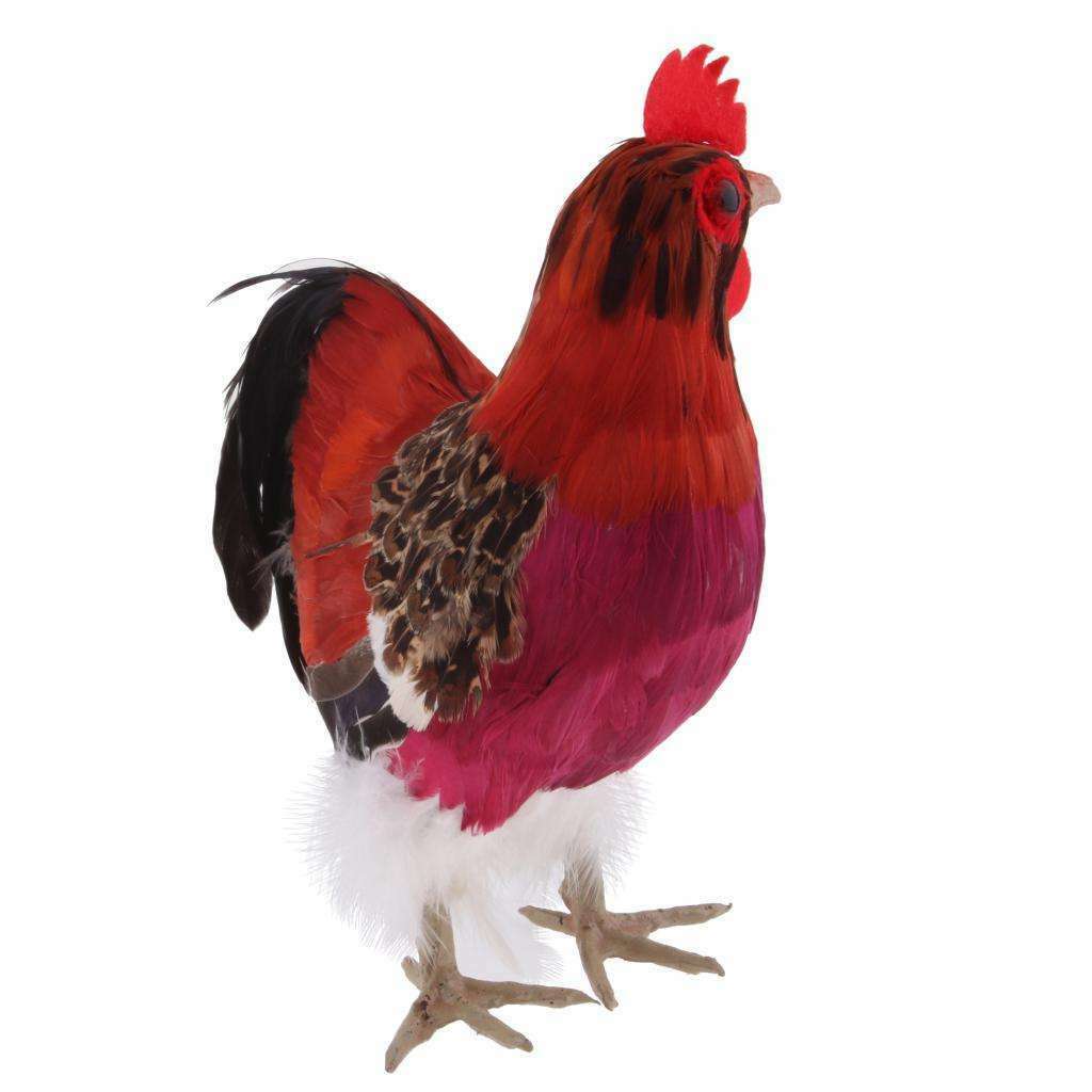 Rooster Chicken Farm Animals Feathers Prop or Decoration, 24x20cm