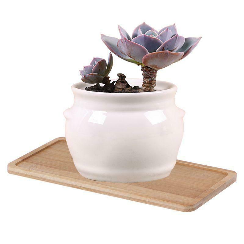 Rectangle Shape Bamboo Saucer Plant Tray Mini Plant Flower Pot Stand Favor Pot