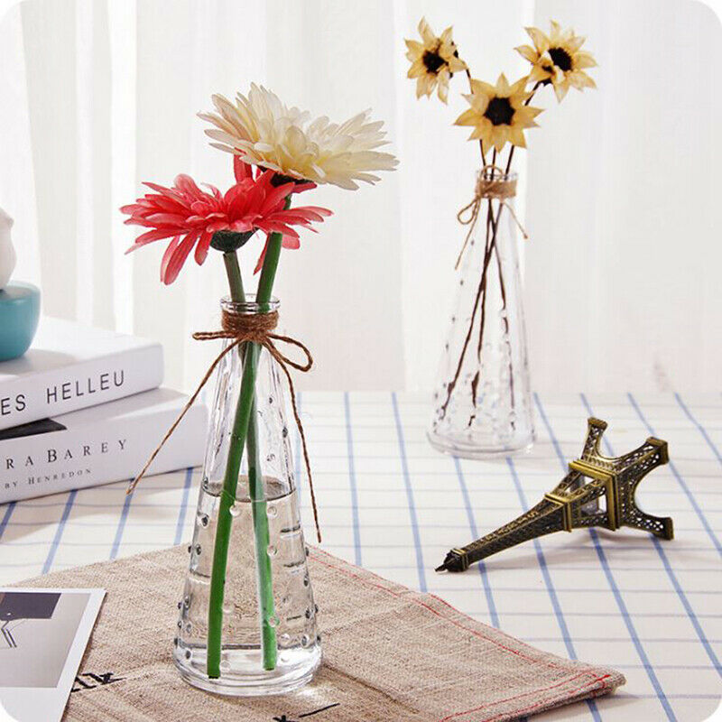 Raindrop Conical Glass Vase Decorate Home Nordic Dried Flower Hydroponic Bottle
