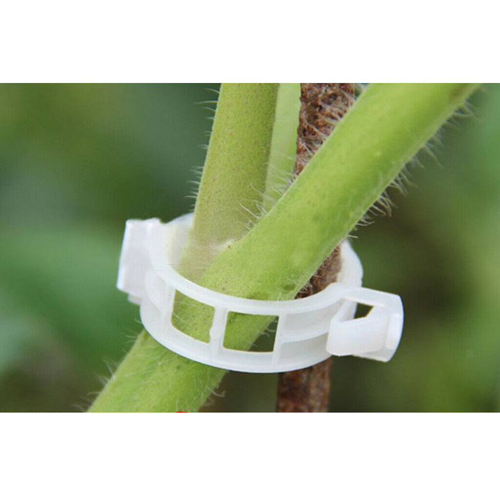 200pcs Plastic Plant Support Clips Cucumber Garden Planting Trellis Clips
