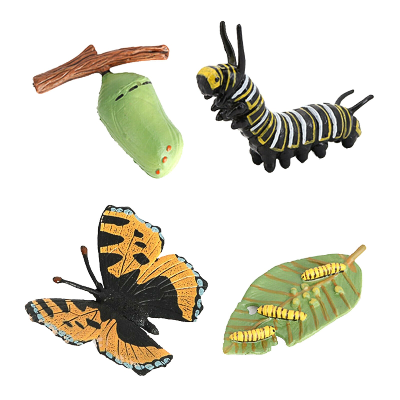 Meticulously Designed Ladybug Butterfly Lifecycle Figures， Educational