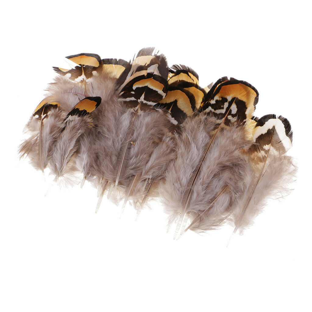 24x Natural Pheasant Feather for Fascinator Millinery Headwear Decor 5-11cm