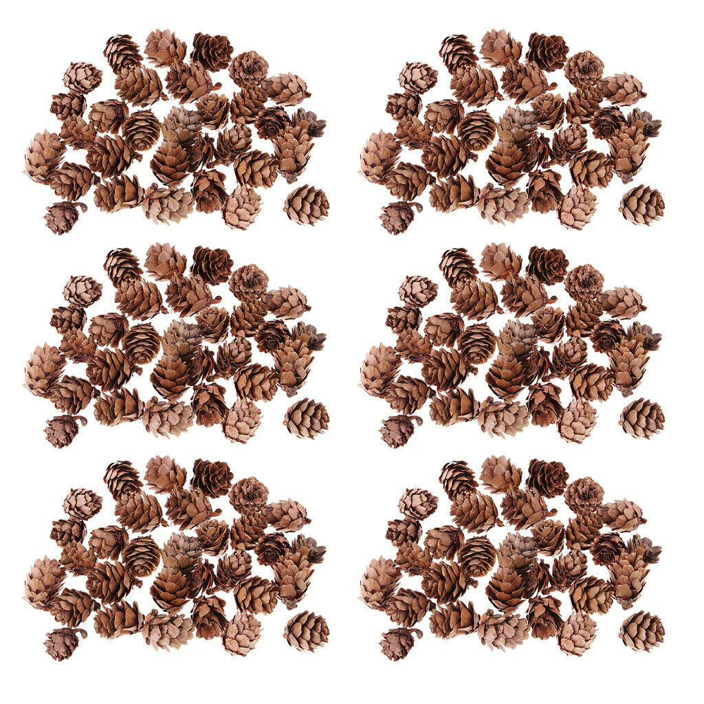 180pcs Small Natural Dried Pine Cones In Bulk Dried Flowers for Christmas Decors