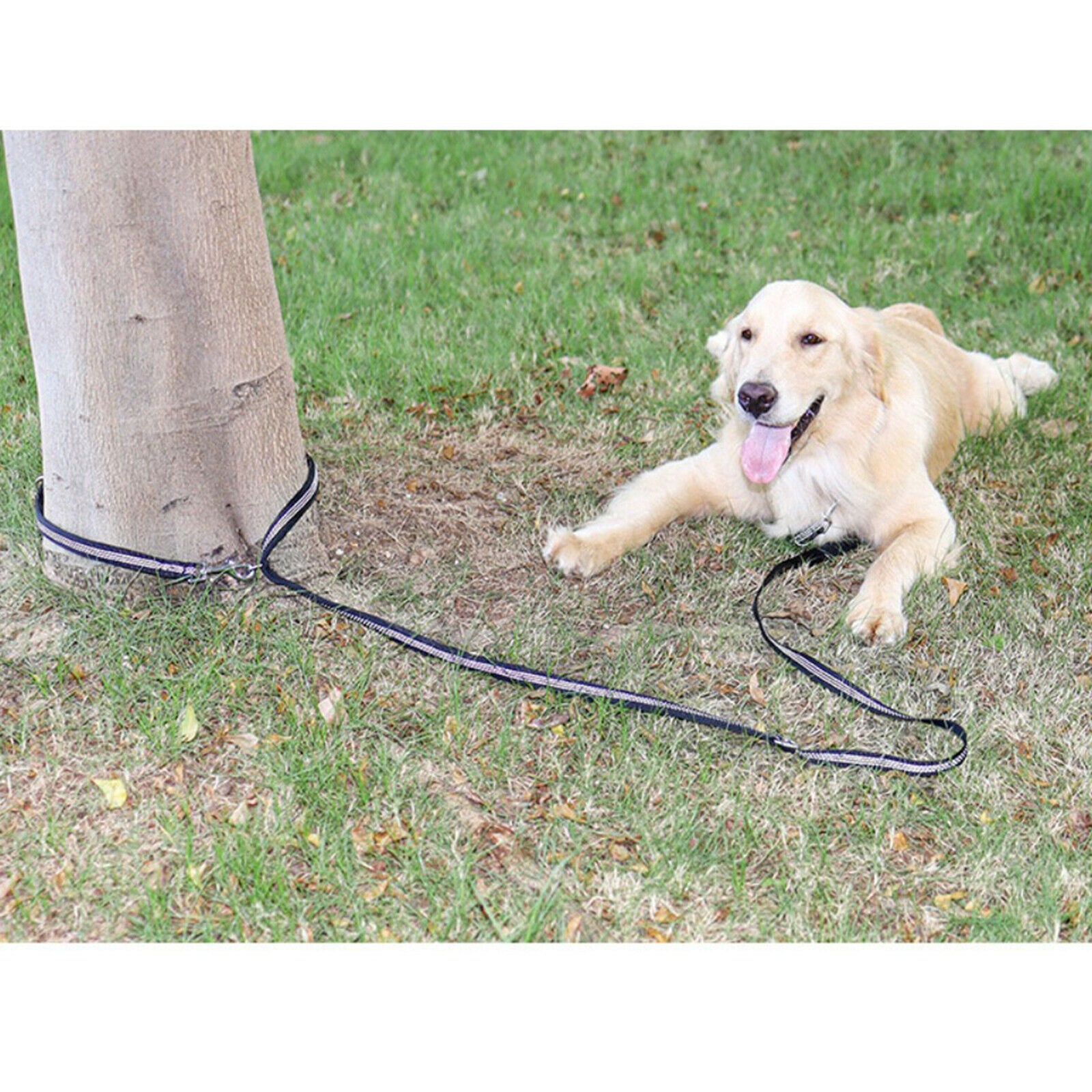 Long Nylon Dog Leash Dog Training Walking Nylon Lead Leash for Medium Dogs