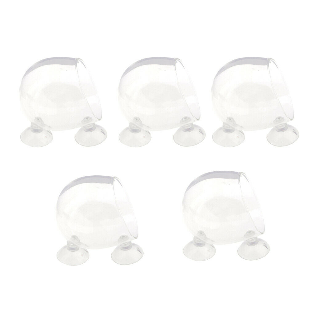 5x Crystal Planter Glass Cup Pot   Tank Holder for Aquarium Aquascaping