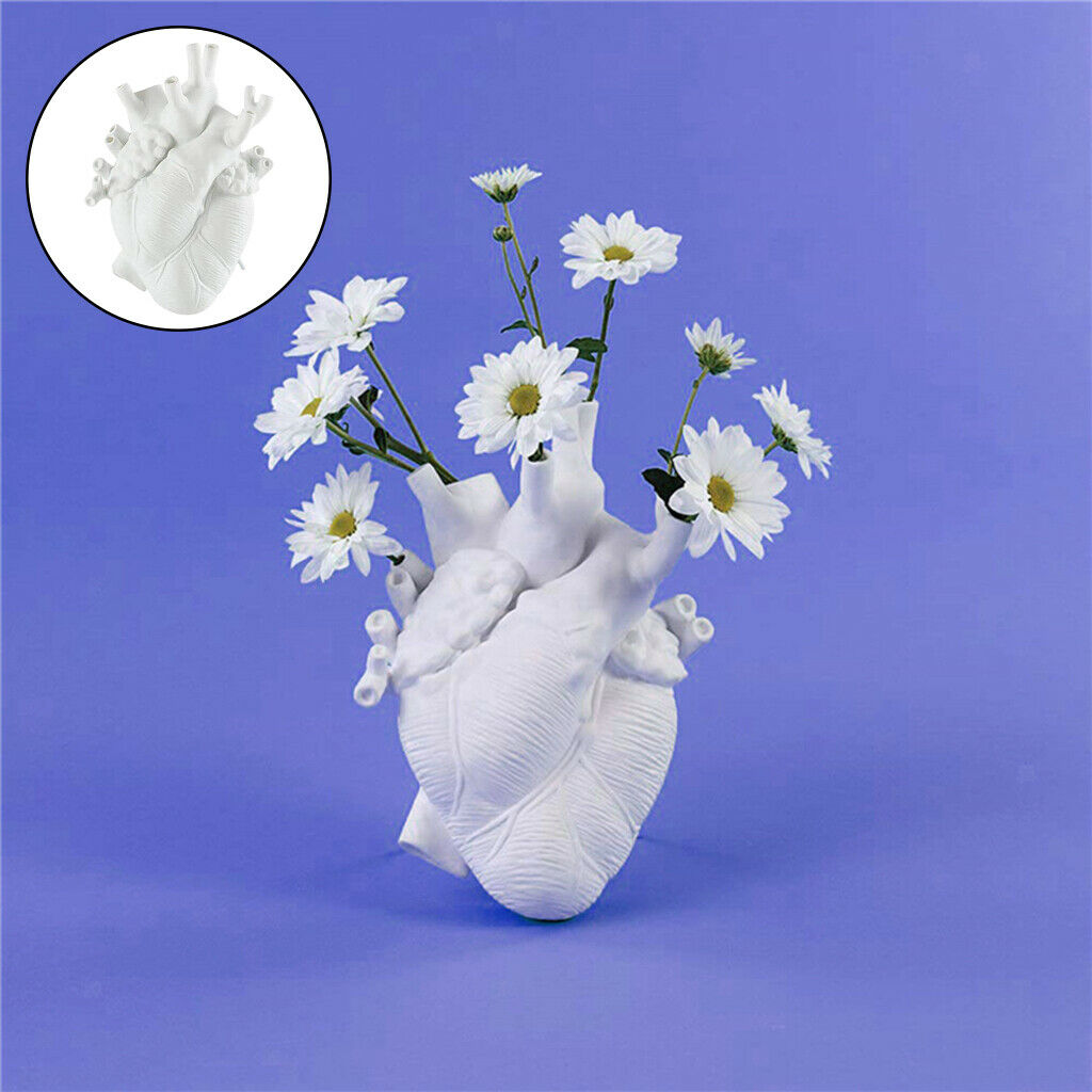 Anatomical Heart Vase Nordic Palnt Pot Planter Desktop Home Art Home Decor