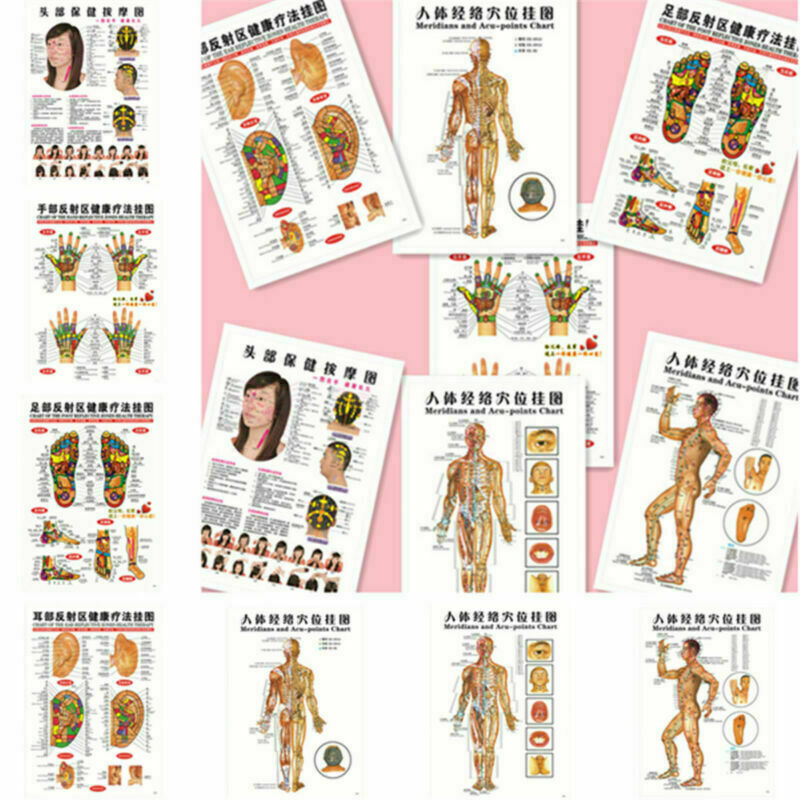7pcs English Acupuncture Meridian Acupressure Points Posters Chart Wall Map
