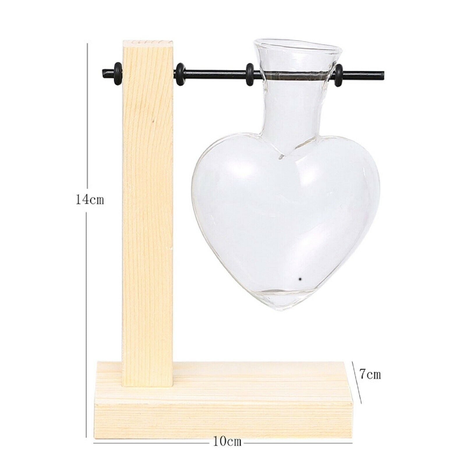 Glass Vase with Wooden Stand Frame for Hydroponics Plants Desktop