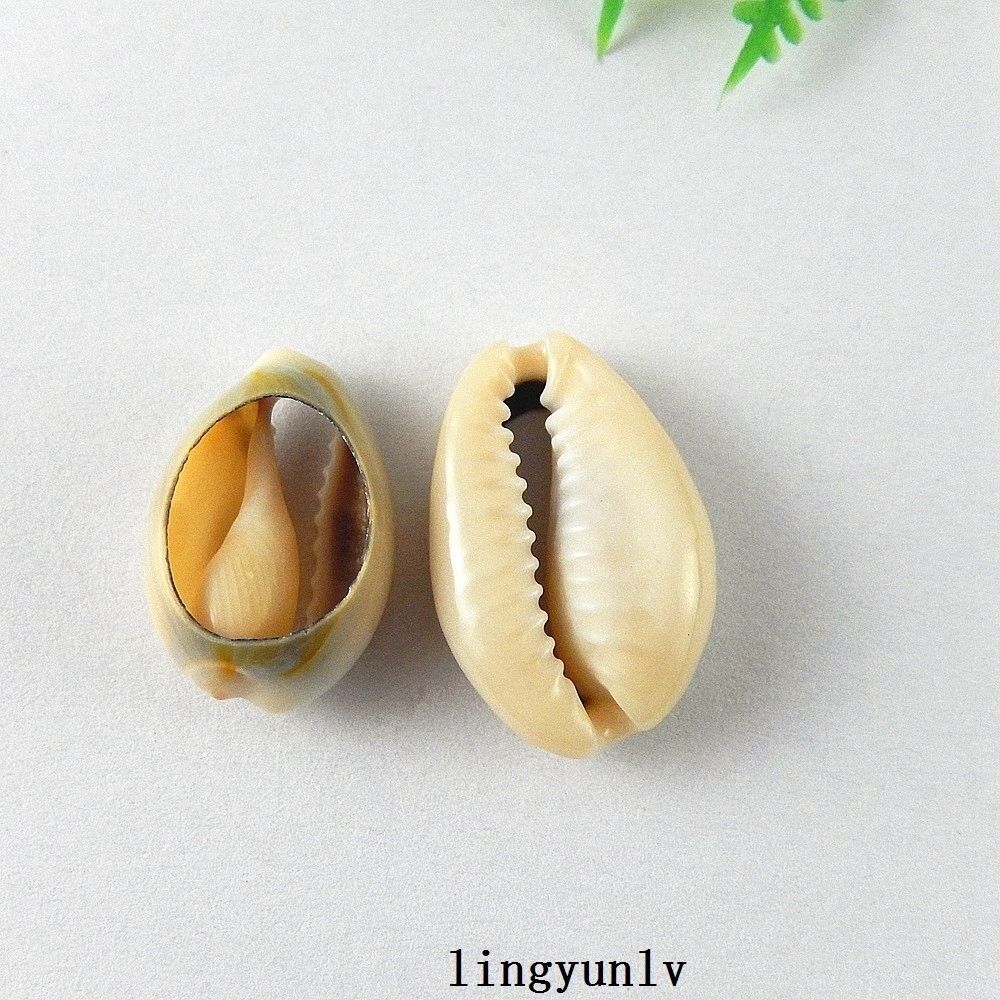 40pcs Mini Natural Shells Sea Conch Ornament Crafts Decorations 16mm-25mm