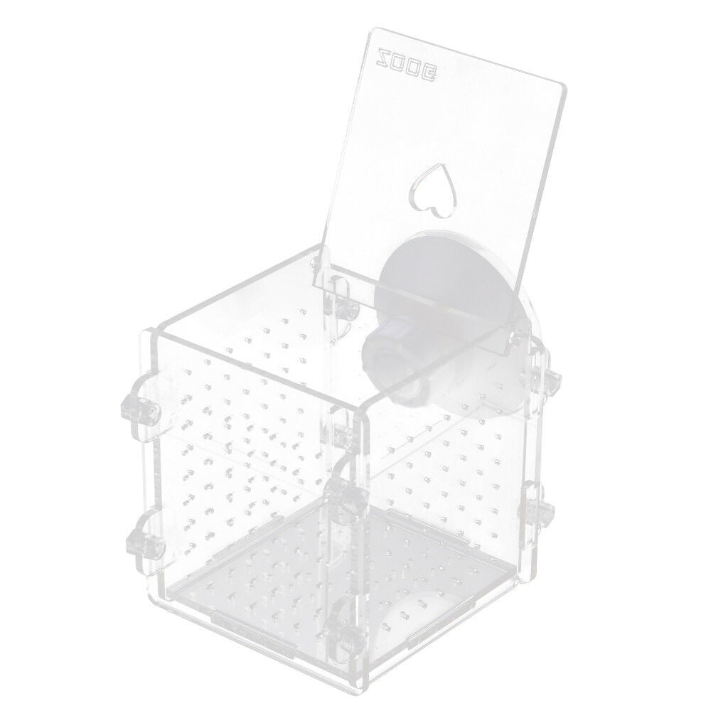Acrylic Clear Aquarium Guppy Baby Small   Separator Fishes Breeding Box