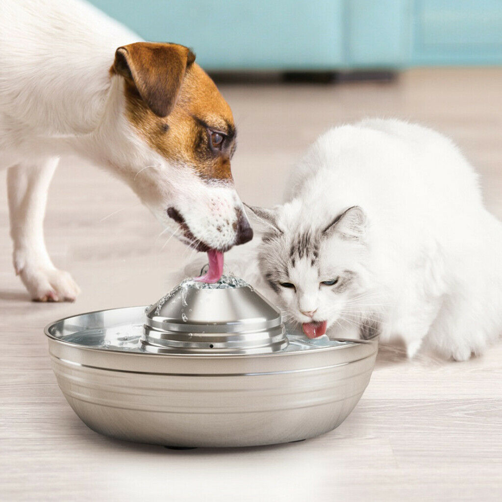 Cat Water Fountain Recycle Water Dispenser Electric Waterfall Auto Power Off