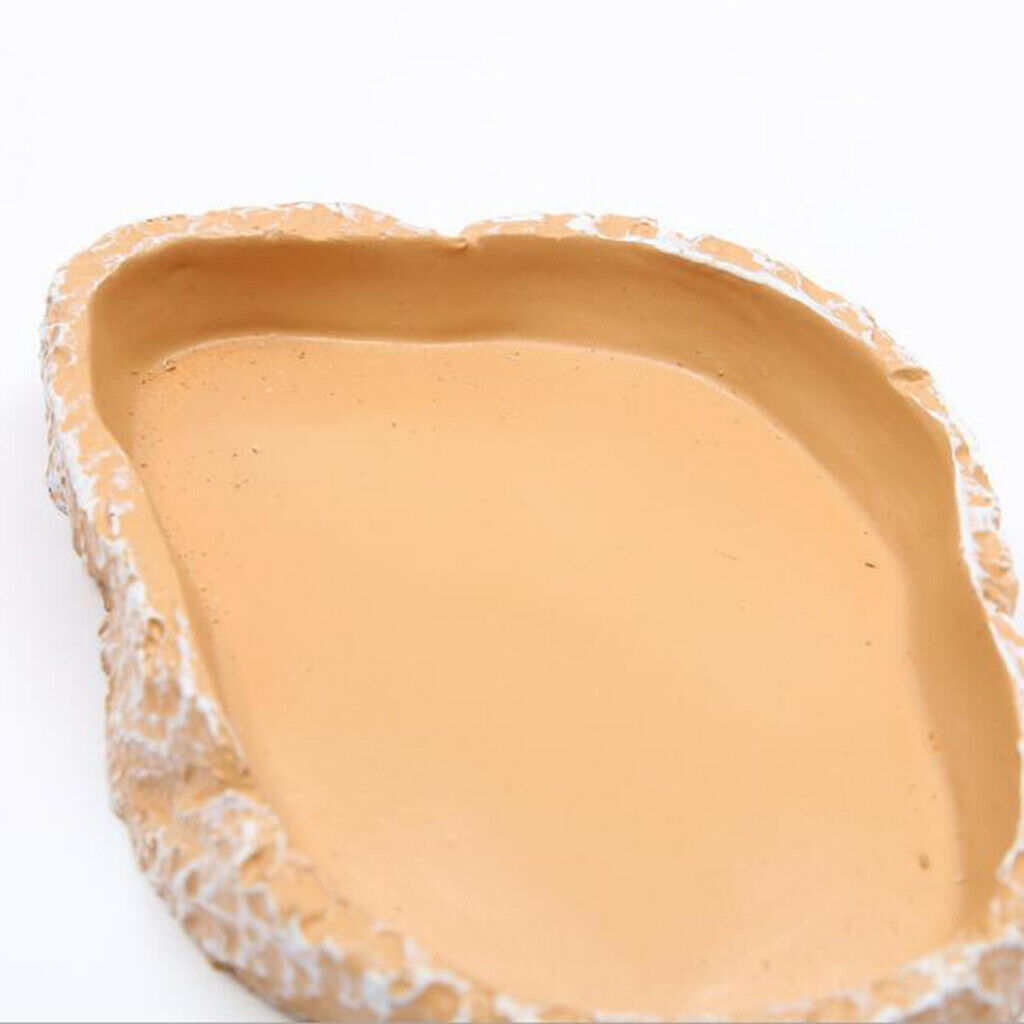 Beige Reptile Food and Water Bowl for Pet Aquarium Ornament Terrarium Dish Plate
