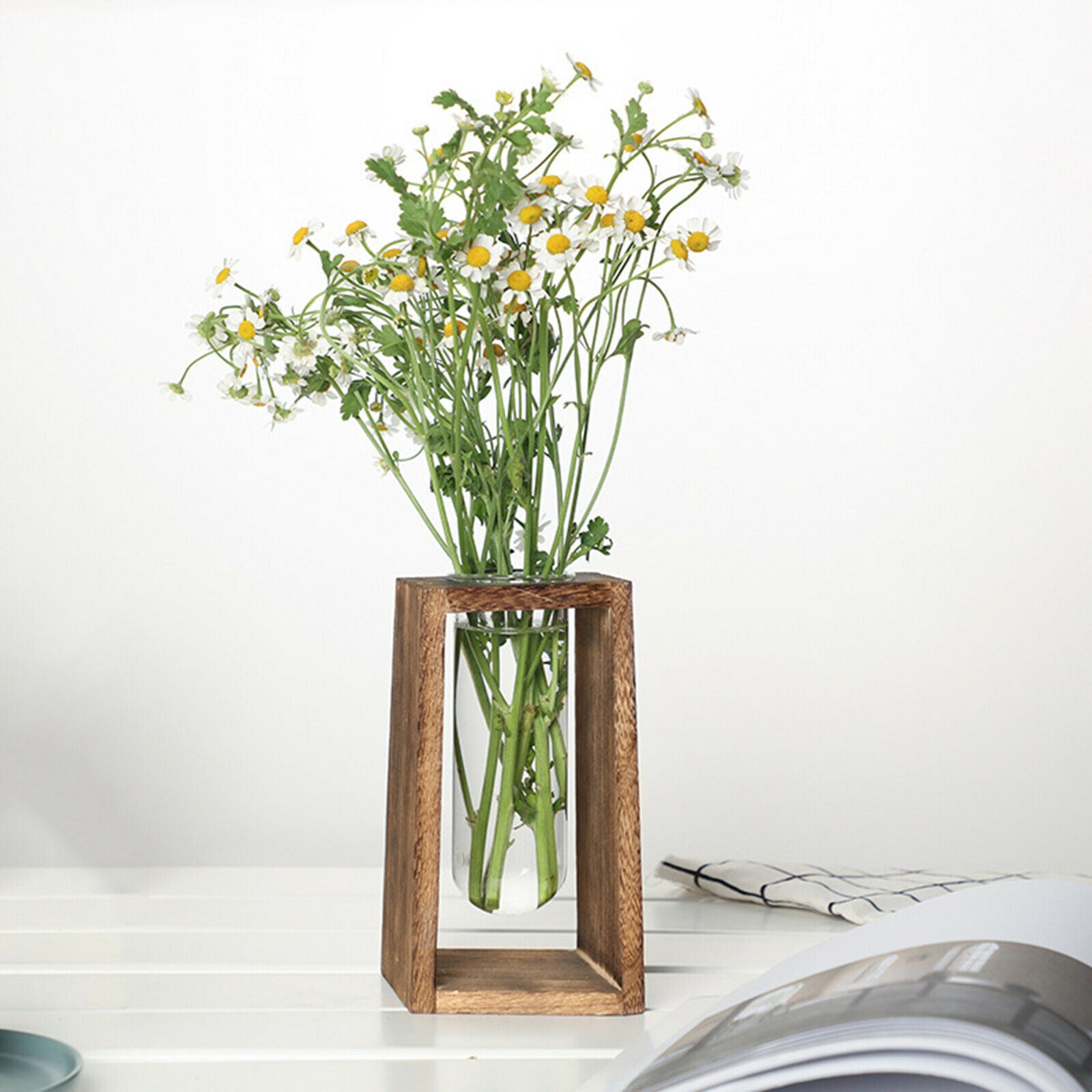 Hydroponic Plant Vase Holder Container Terrarium Flower Pot Stand Planter