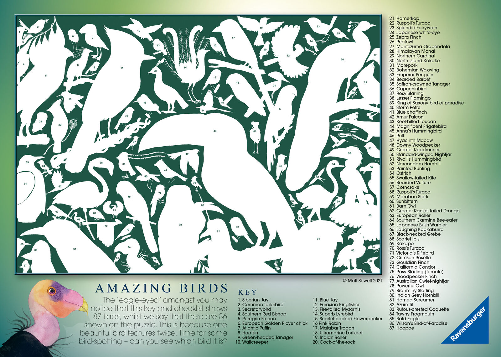 16769 Ravensburger Matt Sewell's Amazing Birds Jigsaw Puzzle 1000pc Age 12yrs+