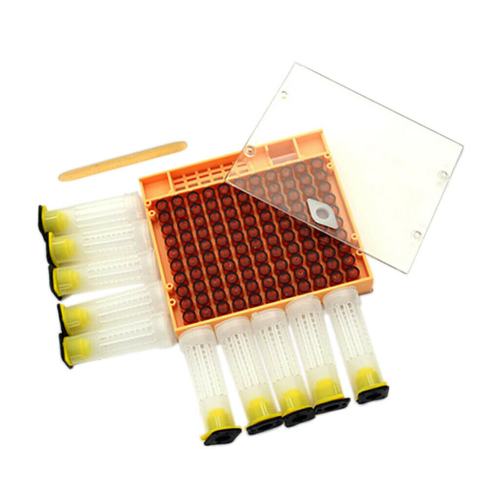 Bee Tools Bee Rearing Cupkit Box 110Pcs Brown Cell Cups Apiculture Supplies