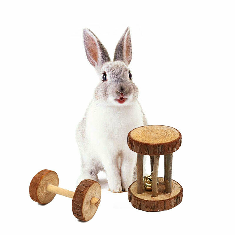 5Pcs/set Natural Wooden Rabbits Toys Chew Toys for Small Pet Molars SuppliesBIA
