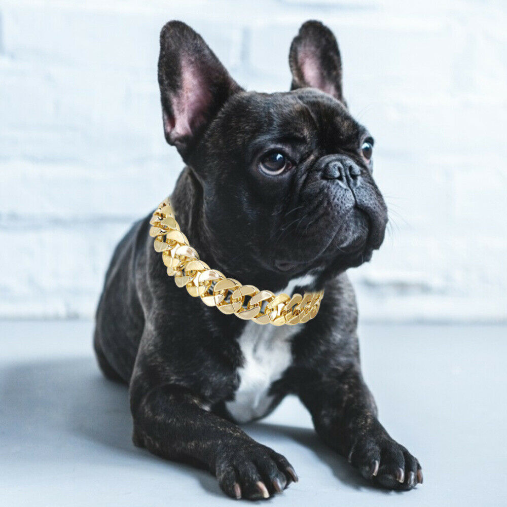 French Bulldog Dog Stainless Steel Necklace Bling Pet Puppy Jewelry Accessories