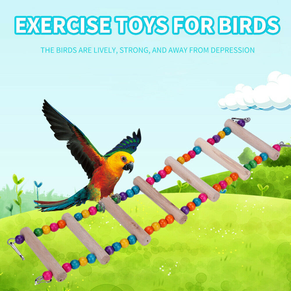 Pet Parrot Ladder Hanging Colorful Balls Wooden Bird Climbing Stairs Perch @