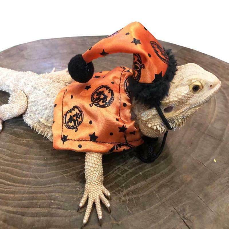 Halloween Hat and Cloak for Reptiles Photo Props Adjustable Lizard Costume Set