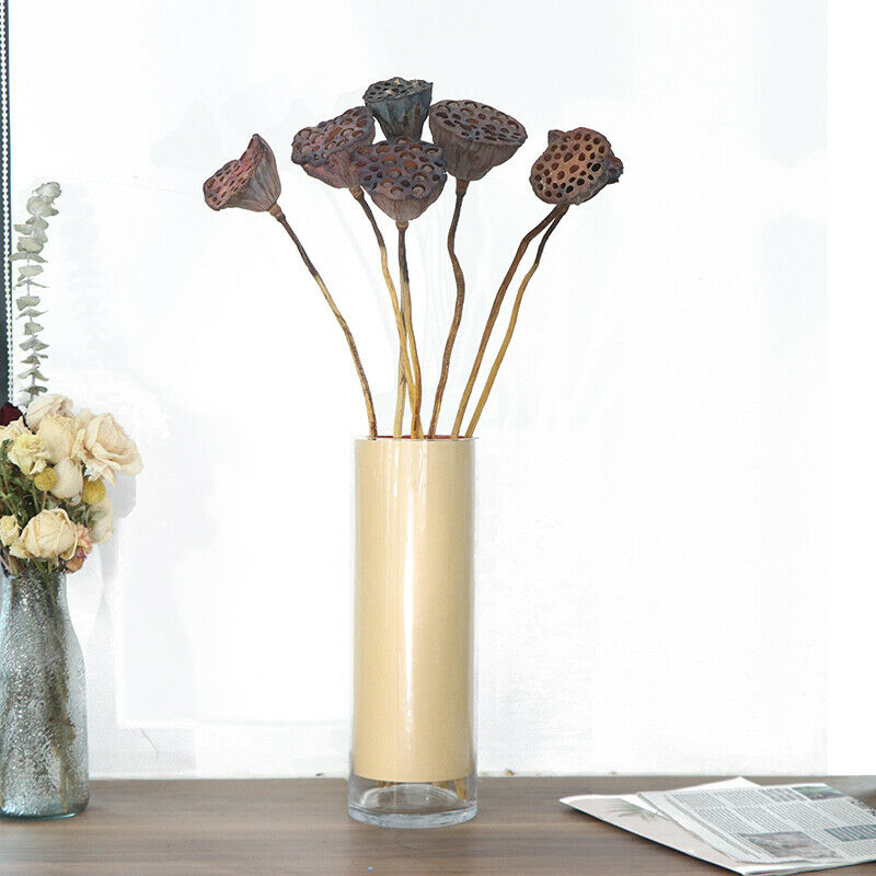 1Pc Lotus Natural Dried Flowers Farmhouse Bouquet Plant Branch Fall Decor.l8