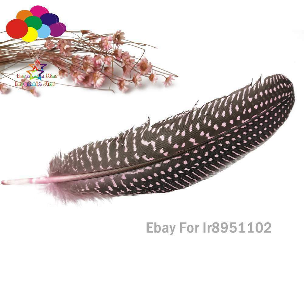 Pink Turkey 100pcs Unique Dyed Red Polka Dot Guinea Fowl Wing Quill Feathers