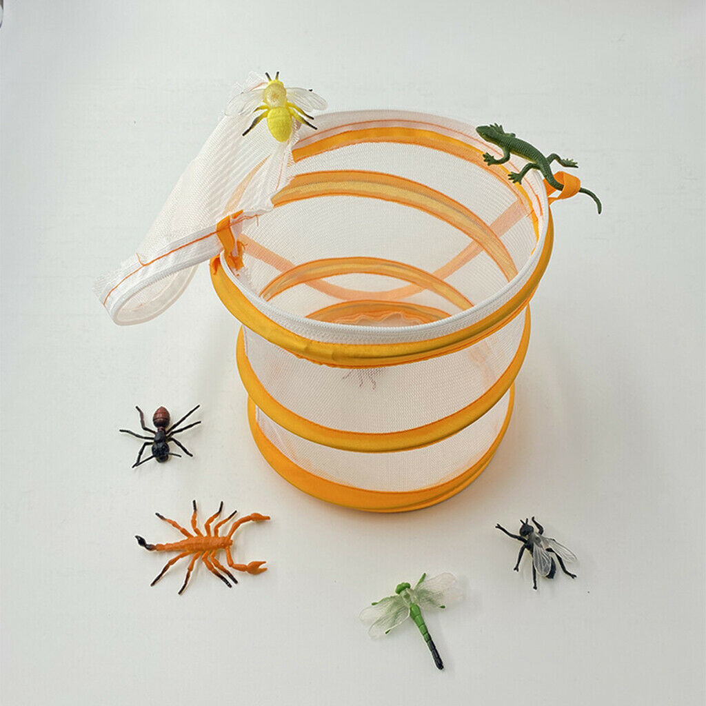 Insect and Butterfly Habitat Cage -up Educational for Outdoor Girls