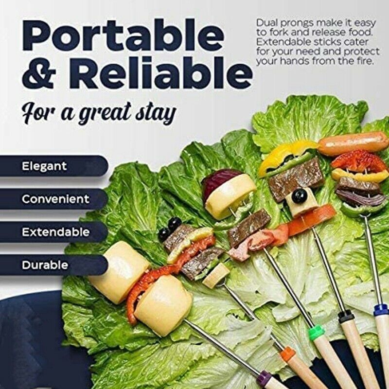 Marshmallow Sticks,16 Pcs Roasting Sticks for BBQ/Campfire/Camping,StainlessW9Q1