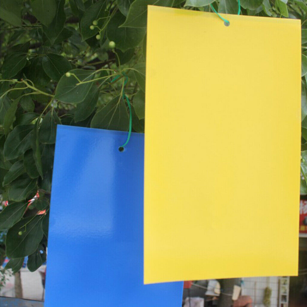 2 Sides Sticky Insect Traps Bug Pads for Insect Useful Catchers Traps Yellow