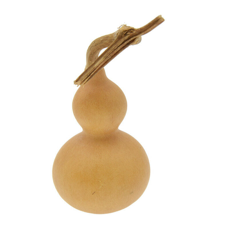 10x Miniture Hand   Gourds Natural Plante Crafts Home Gardin Decoration