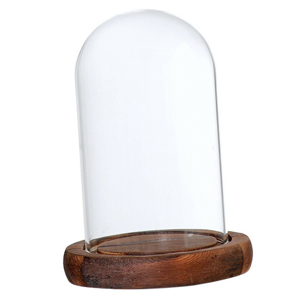 Dust-proof Glass Toys Holder w/ Lid and Base for Home Micro Landscape Decor