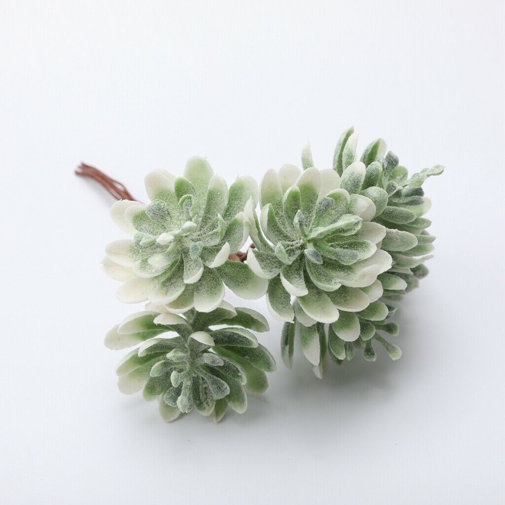 10pcs Pressed Dried Flowers Artificial Succulent Plants Wedding Party Decor