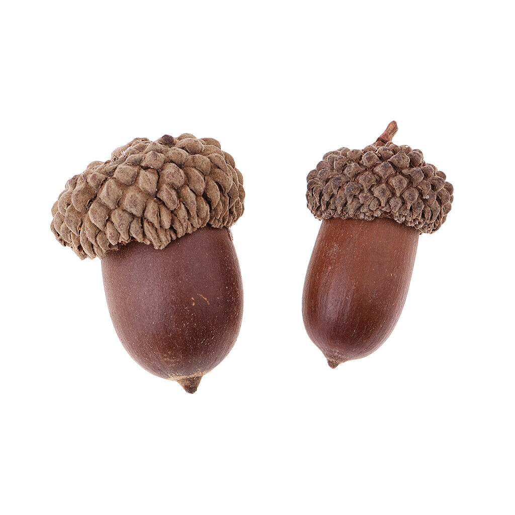 10x Rustic Acorn Premium Rubber Chestnut Home Wreath Garland Embellishments