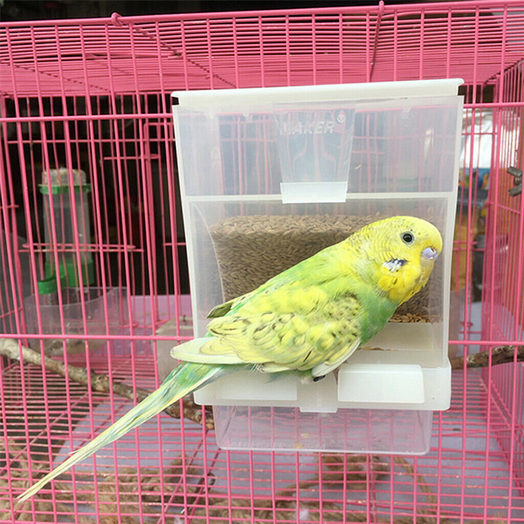 Pet Bird Automatic Feeder Food Feeding Box Parrot Finch Dispenser Cage Perch