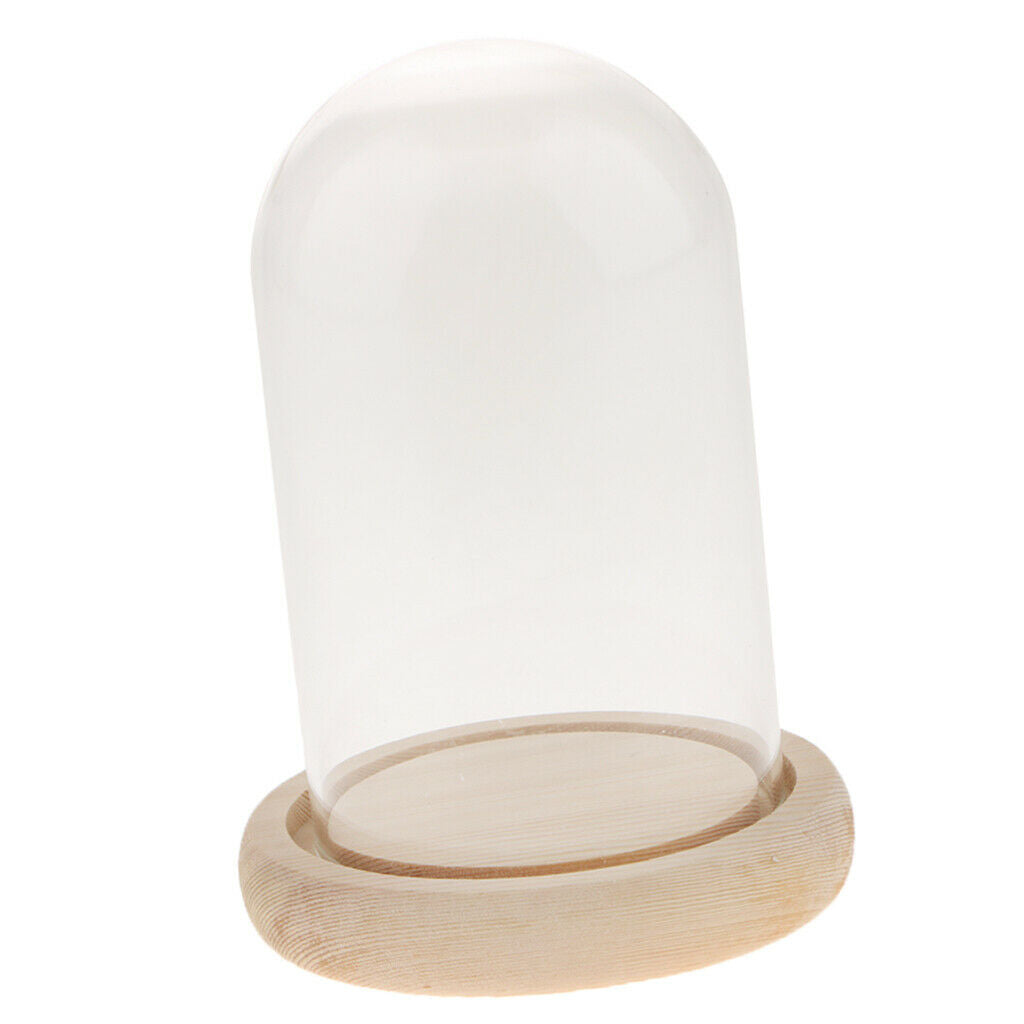 Glass Display Dome Cloche Bell Jar With Wooden Base for DIY Decoration #A