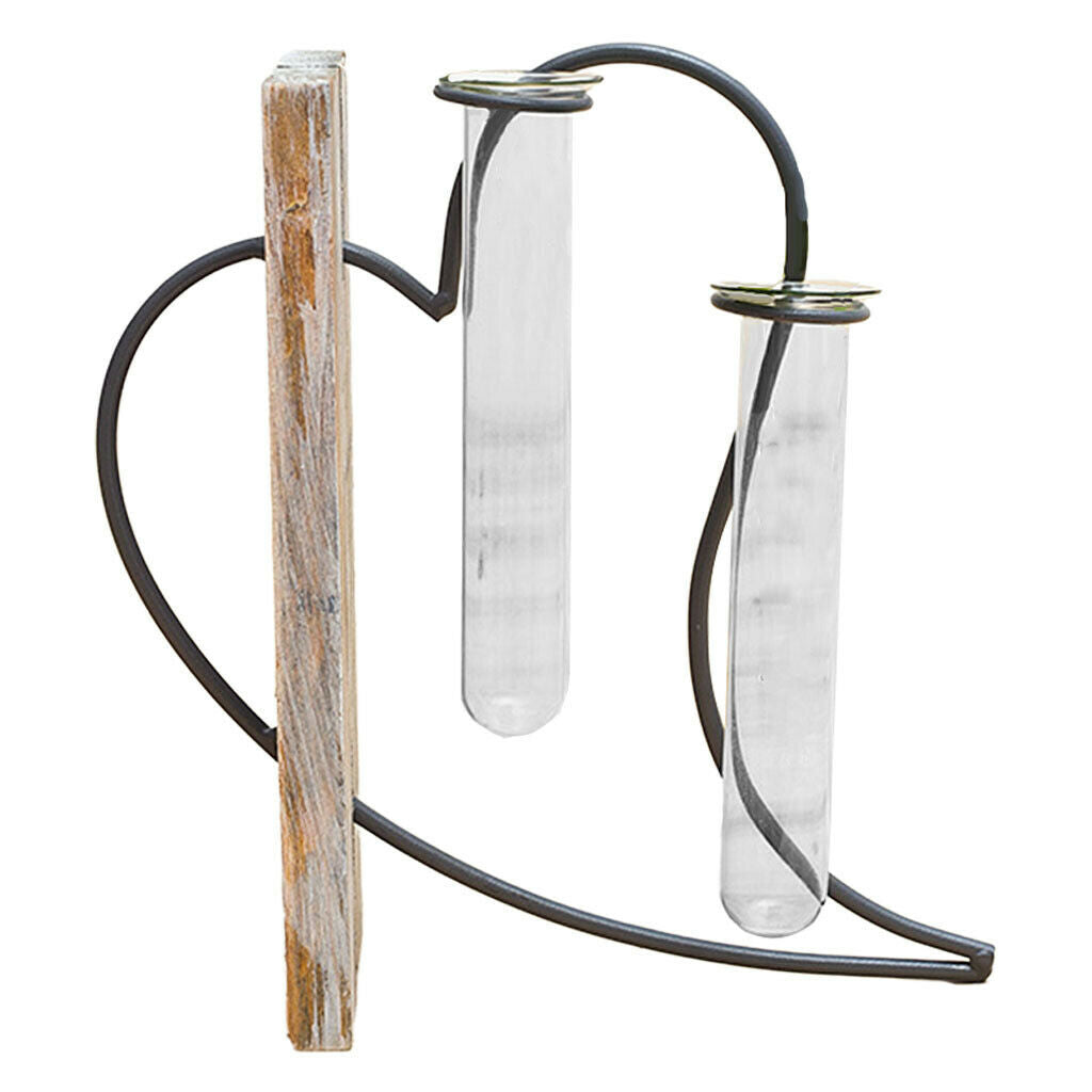Flower Vase 2 Test Tube Plant Terrarium Centerpiece Planter Home Office