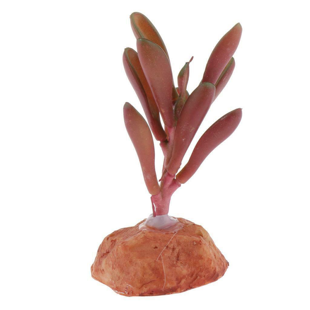 Aquarium Fish Tank Landscaping Plants Ornaments Reptile Hideaway Hide Cave