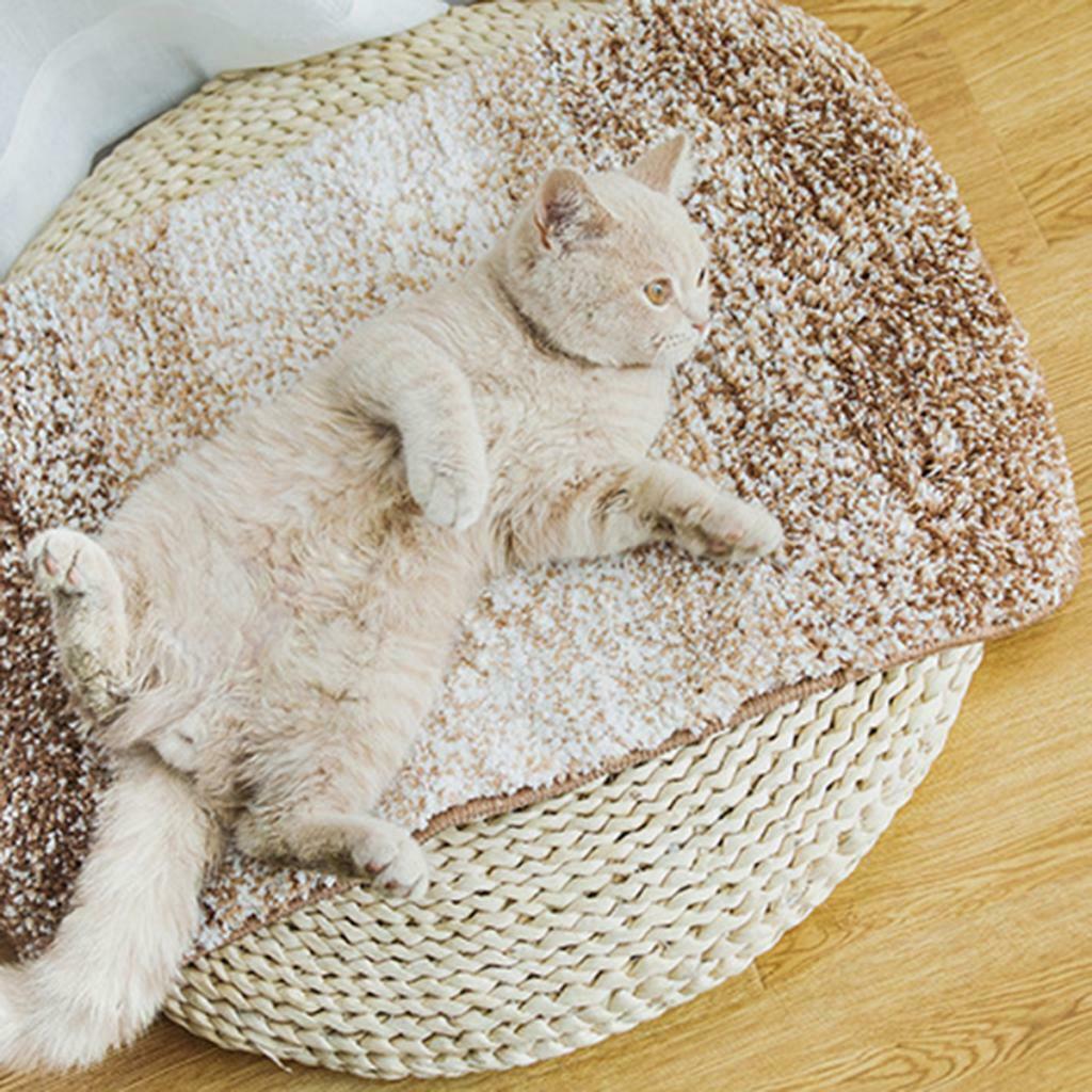 Pet Anti-skid Mat Cat Dog Sleeping Bed Mat For Cat Dog Puppy Coffee