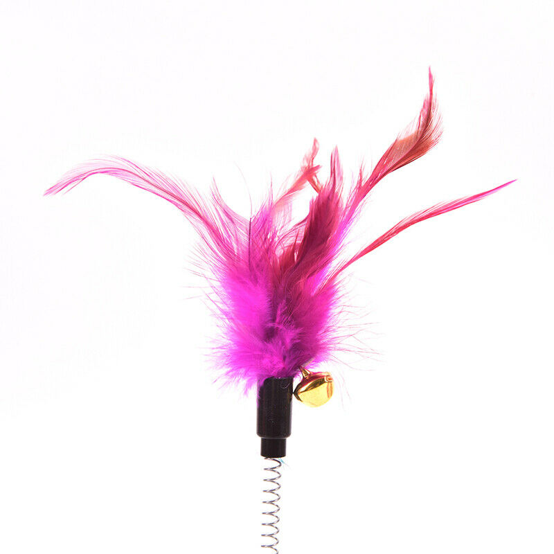 Feather  Cat Toys Feather Funny Cat Shape False Products Bottom Sucker Elastic